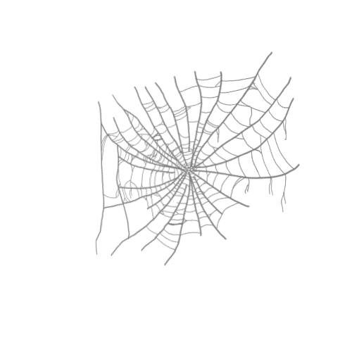 Cobweb 5